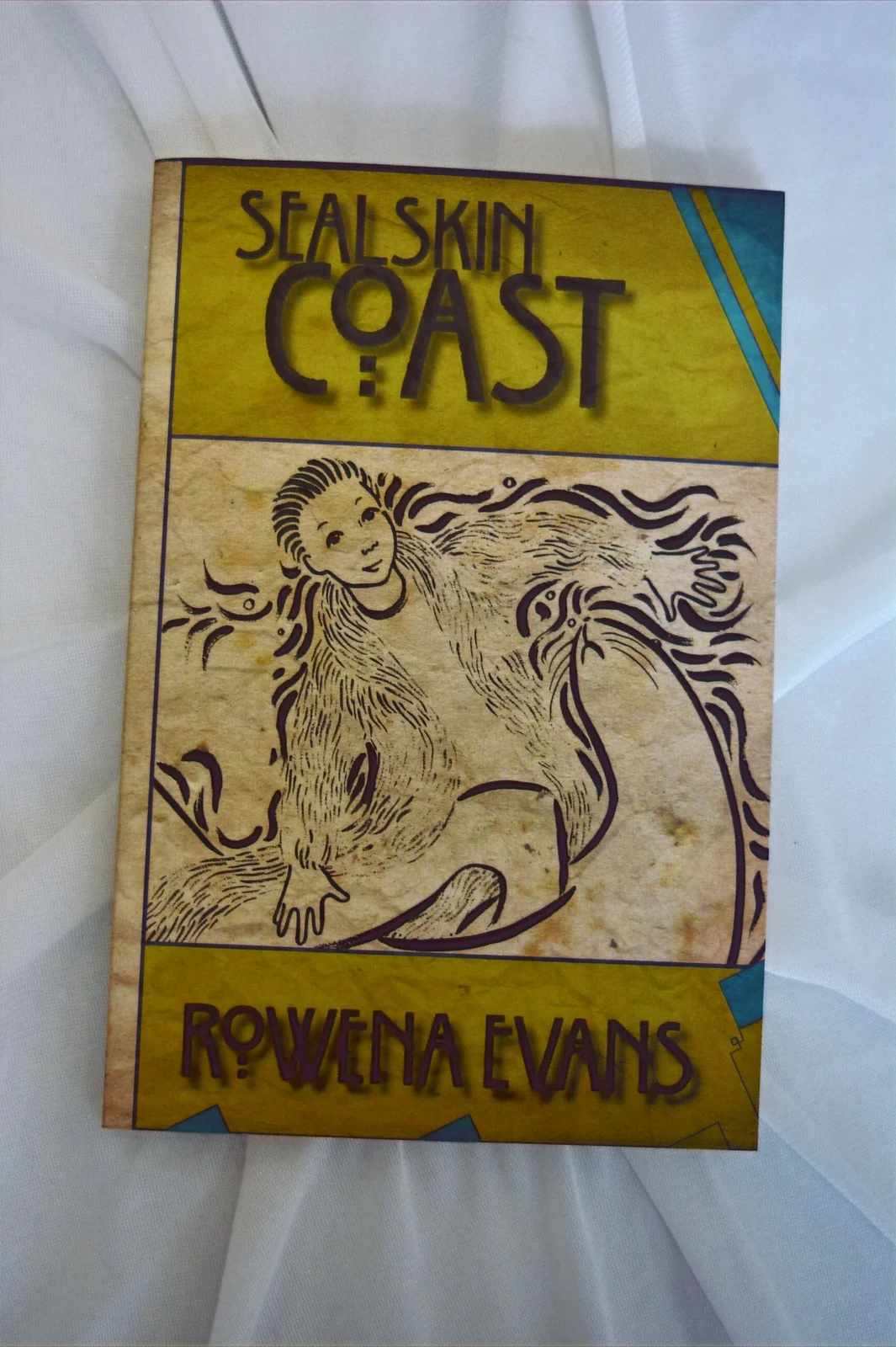 Seal Skin Coast by Rowena Evans