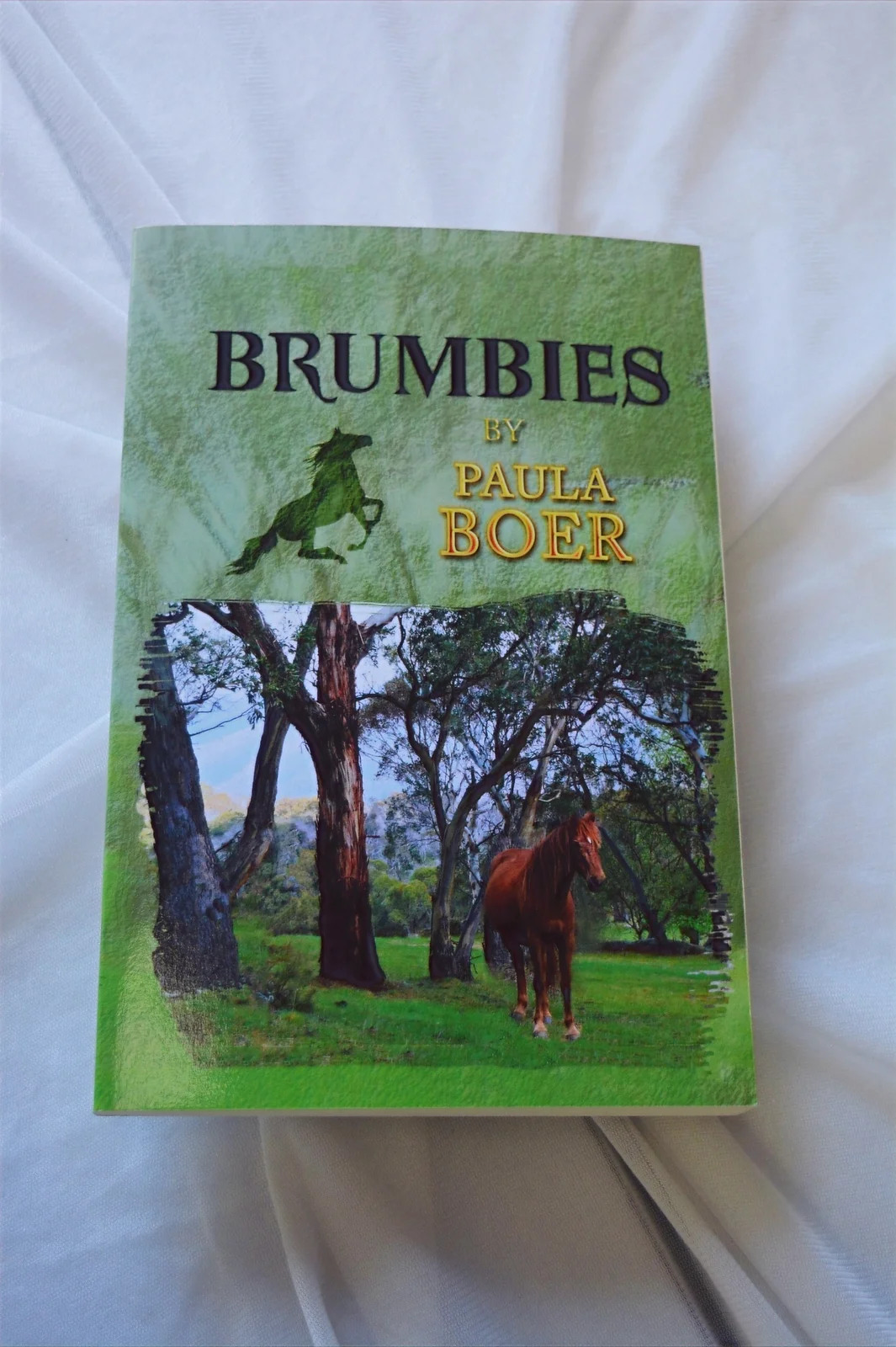 Brumbies by Paula Boar