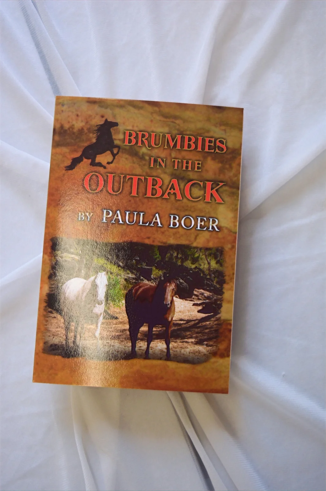 Brumbies in the Outback by Paula Boer