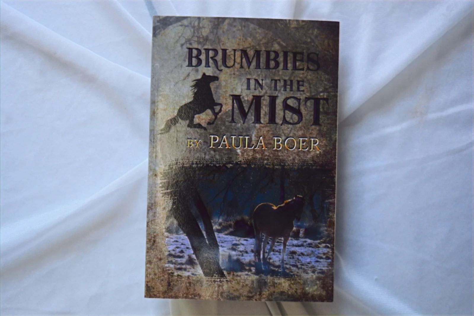 Brumbies in the Mist by Paula Boer