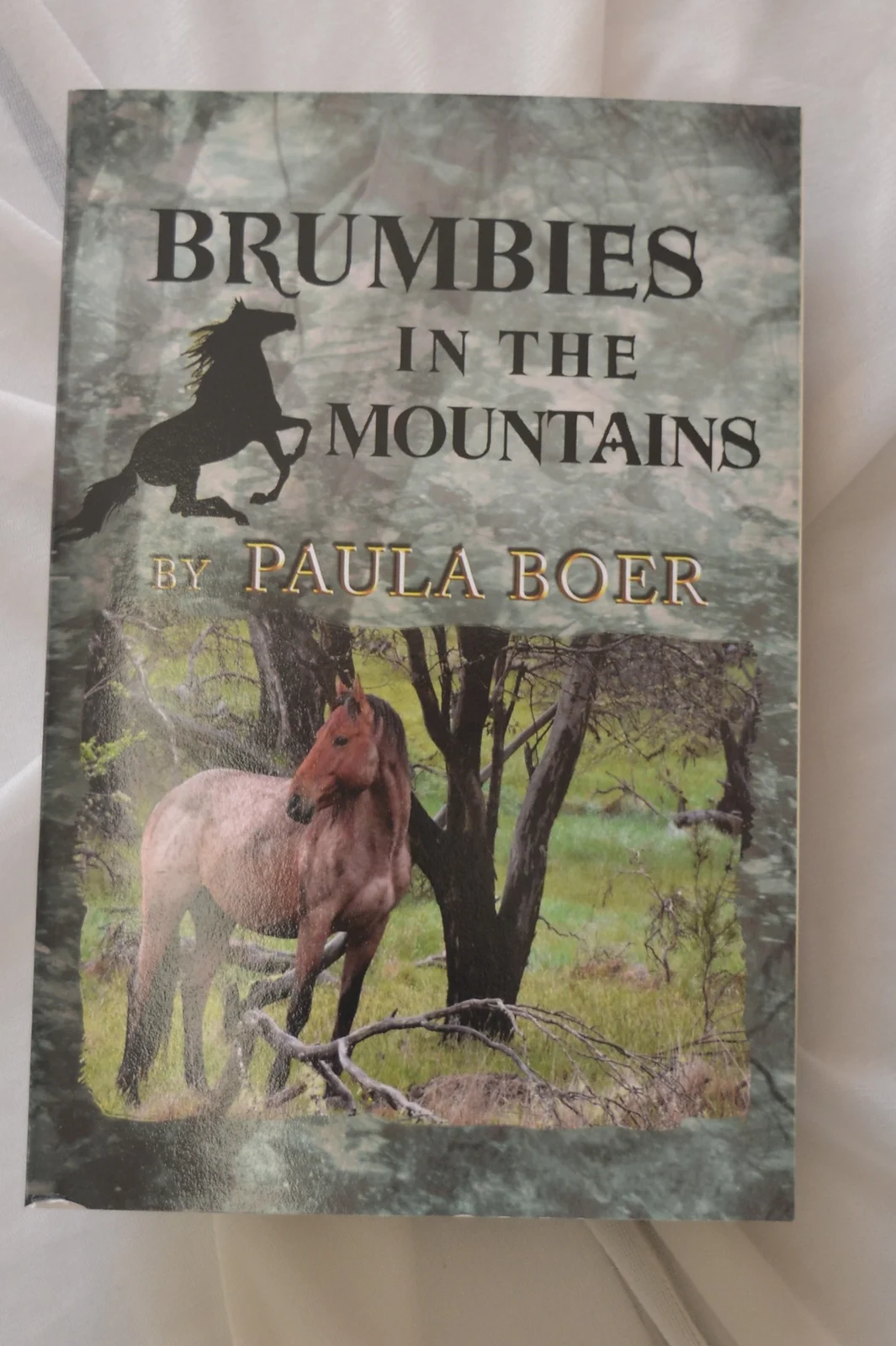 Brumbies in the Mountains by Paula Boer