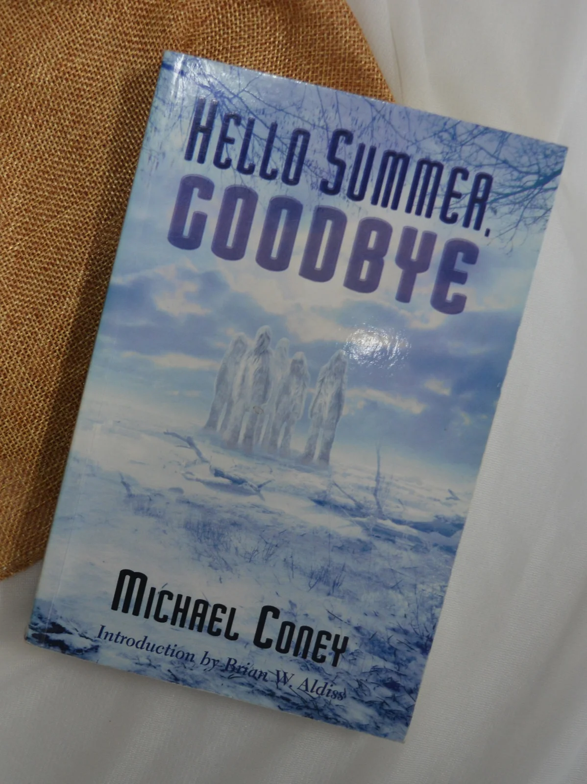 Hello Summer, Goodbye by Michael Coney