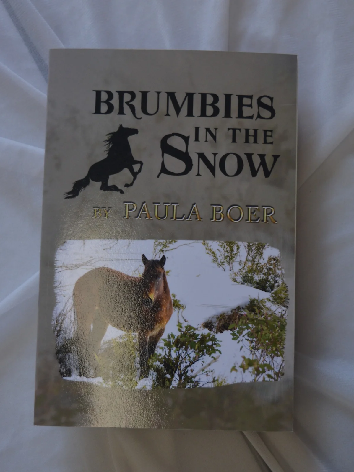 Brumbies in the Snow by Paula Boer